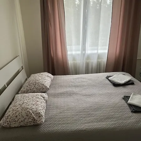 White Apartment Druskininkai Exterior photo